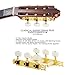DJ204GK-P1W TENOR Classical Guitar Tuners, Tuning Key Pegs/Machine Heads for Classical or Flamenco Guitar in Gold Plated Finishing with Pearl Colored Buttons.