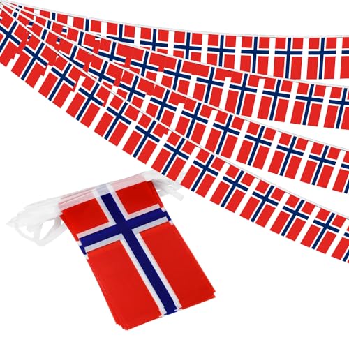 Norway String Flag Pennant Banner - 38 Flags, 42