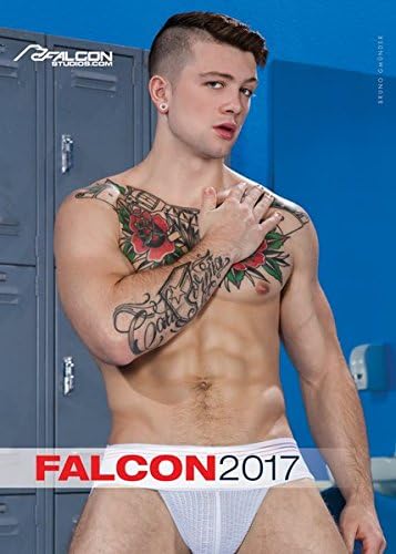 Falcon 2017 Calendar – Wall Calendar, July 6, 2016
