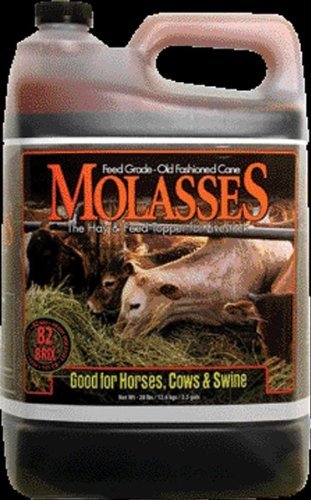 Molasses Livestock