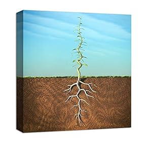 Canvas Wall Art Abstract Beyond Realistic...