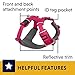 Ruffwear, Front Range Dog Harness, Reflective Soft Padded Everyday Harness with Dual Leash Clips, Adjustable and Lightweight Fit for Training or Walking for All Dogs, Wild Berry, Small