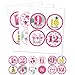 Pink Flamingo - Party Like a Pineapple - Tropical Summer Monthly Baby Sticker Set - Baby Shower Gift Ideas - 12 Piece