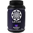 Boost Pro Series - Bloom Booster & Yield Enhancer: Premium Plant Nutrients for Indoor/Outdoor Grows - Soil, Hydroponic, Coco Coir - 72 oz