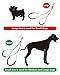 SHELANDY Pet Haunch Holder Dog Grooming Loop restraint for small large dogs (Small)