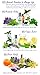 Nutravana Remedy Trio Gift Set: Headache & Stress Relief, Fatigue Buster Natural Health Aromatherapy Spa Bliss for Women Men Mom Dad Girls or Get Well -Ready to Roll-on -Safe for Kids -100% Guarantee