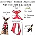 Service Dog (Do Not Disturb/Dog is Working) Red Color Coded Non-Pull Front and Back D Ring Padded and Waterproof Vest Dog Harness Prevents Accidents by Warning Others of Your Dog in Advance (XS)