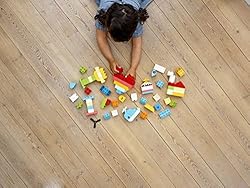 LEGO DUPLO Classic Heart Box, First Bricks Building