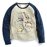 Fiream Boys' Cotton Crewneck Long Sleeve Cartoon T-Shirt(1106,4T)
