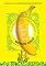 Livro A curvatura da banana: Quem tem um projeto de nação para o Brasil?