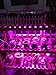 Led Grow Light Ledy 3.2ft 5050 Waterproof Flexible Soft Strip Grow Light for Plant Flower Seeds Seedlings Growing Red Blue 4:1 with DC 12V 2A Adaptor