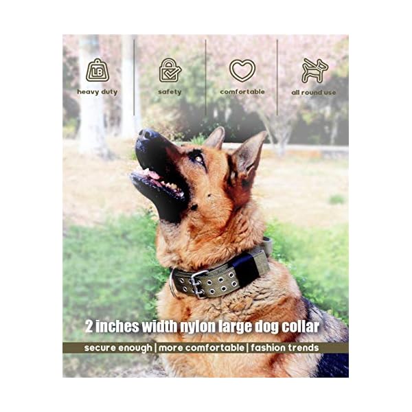 large dog collar with handle