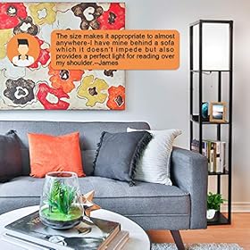 SHINE HAI 3-in-1 Shelf Floor Lamp with 2 USB Ports and 1 Power Outlet, 3-Tiered LED Shelf Floor Lamp, Shelf & Storage… 51xziuC h3L