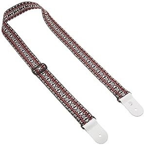 Planet Waves 50G01 Hootenanny 2 Woven Guitar Strap (Multicolor)