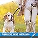 Heavy Duty Dog Leash - 2 Handles - Padded Traffic Handle For Extra Control, 7ft Long - Perfect Leashes For Medium to Large Dogs