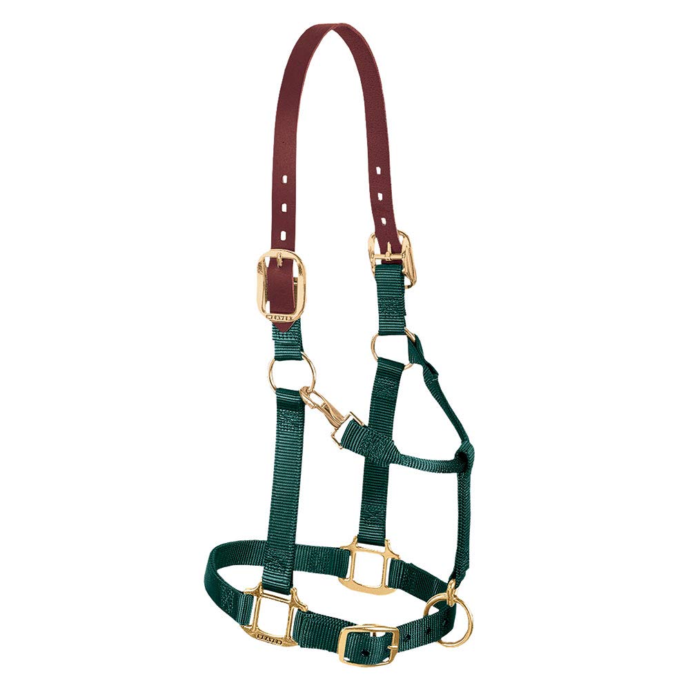Weaver Leather Nylon Adjustable Breakaway Horse Halter, Large, Hunter Green — image 1
