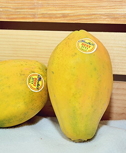 Martha's Best Papaya (Set of 12)