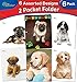 New Generation - Puppies - 2 Pocket Folders/Portfolio 6 Pack Letter Size with 3 Hole Punch to use with Your Binder Heavy Duty Glossy Finish UV Laminated Folder - Assorted 6 Fashion Design (6 Pack)