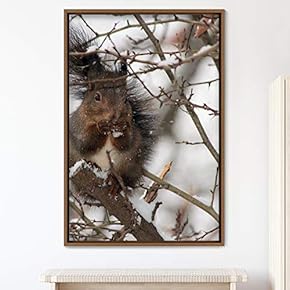 signwin Framed Canvas Wall Art Squirrel Animals Fun...