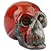 Rockcloud Healing Crystal Stone Human Reiki Skull Figurine Statue Sculptures Africa Bloodstone 3