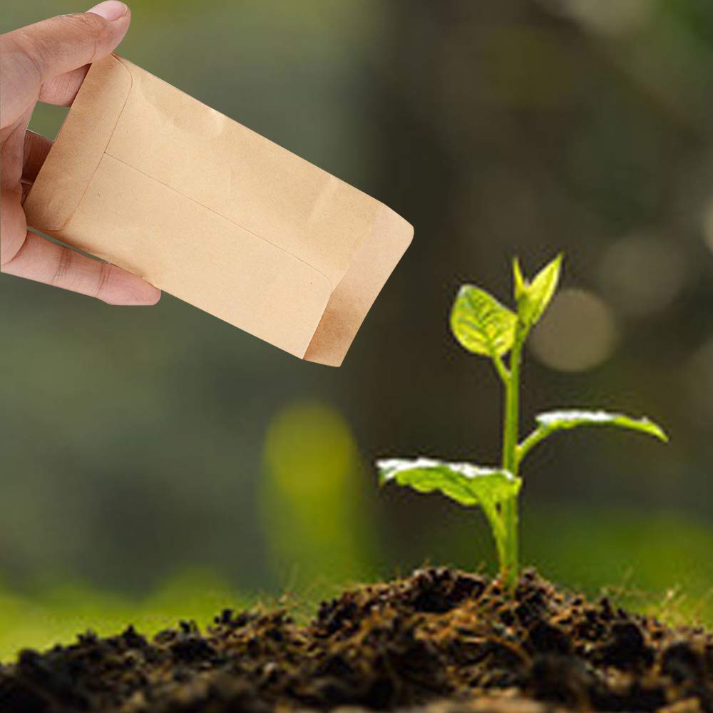 Tomkity 100pcs Pochette Kraft Graines Sachet Sac Mini Enveloppe en