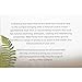 Wild Ferns New Zealand Rotorua Mud, Lavender, and Bergamot Face Pack Mask