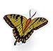Easy Instant removable Butterfly Window Clings