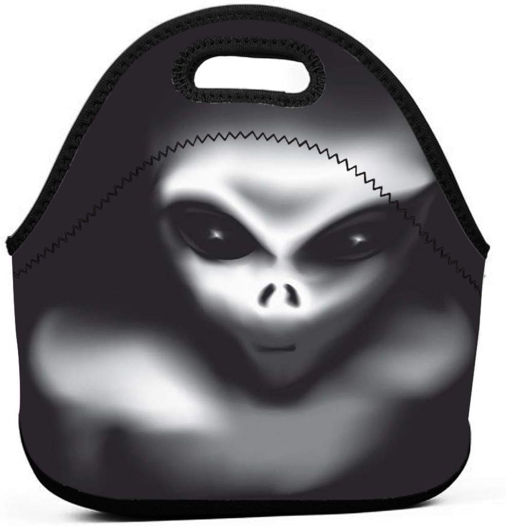 BJjiayu Insulated And Reusable Lunch Bags Tote Bag For Womens Men,Small Lunch Box Horror Black Ufo Creepy Drawing Of Ailen Alien Meshes Used Gradients Blue Scary Monster