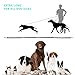 Hands-Free Dog Leash,Bungee Dog Running,Jogging,Hiking,Walking Leash,Reflective,Retractable Training Leash With Adjustable Waist Belt for All Sizes Dogs