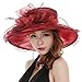 SAFERIN Women's Organza Church Kentucky Derby Fascinator Bridal Tea Party Wedding Hat