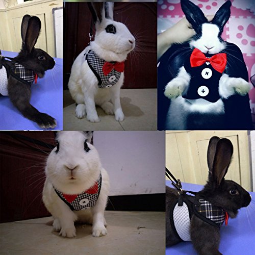 Layboo Soft Handsome Collar Rabbit Little Dogs Cats Harness With Leash Size (M, black) - Thumbnail 3
