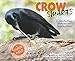 Crow Smarts: Inside the Brain of the World's Brightest Bird (Scientists in the Field)