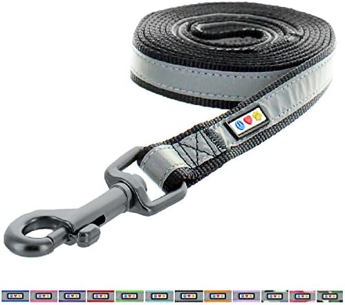 Pawtitas 1.8 M Dog Puppy Lead Reflective Dog Lead Comfortable Padded Handle Highly Reflective Dog Training Lead - Black 6 ft Small Dog Padded Lead