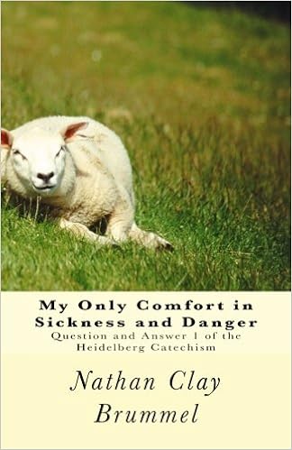 Buy My Only Comfort In Sickness And Danger Question And Answer 1