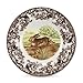 Spode Woodland 10.5