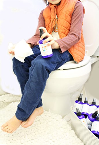Pristine Sprays Moisturizing Cleansing Toilet Paper Potty Training Spray: The More Natural Alternative to Flushable Wet Wipes, Great for Cloth Diapers - Dragon's Breath 4oz