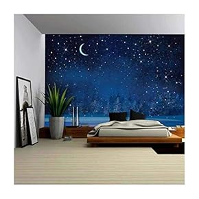 Vector Winter Wonderland Night Background Wall Mural