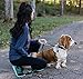 Pet's Go Play Go Run Hands Free Dog Leash - Small-Medium and Large Dogs Puppies to Big Dog, Waist Belt, 2 Handles & 2 Bungees - Great 4 Women, Men, Kids, Boys & Girls; Extra Control for Running & Walk