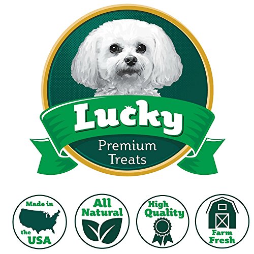 Lucky Premium Treats Rawhide Dog Treats Stubby's for Large Dogs, Plain