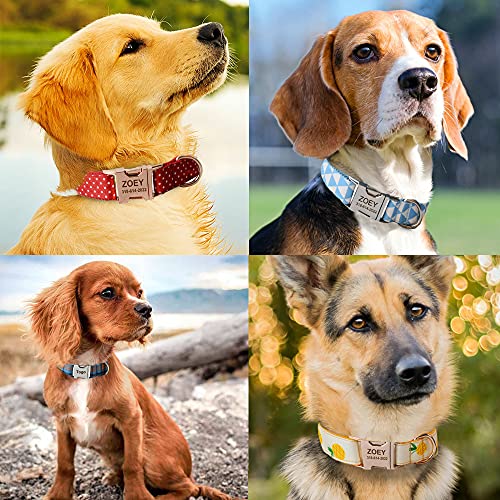 Custom Dog Collar with Names and Phone Number Engraved, Puppy Tags