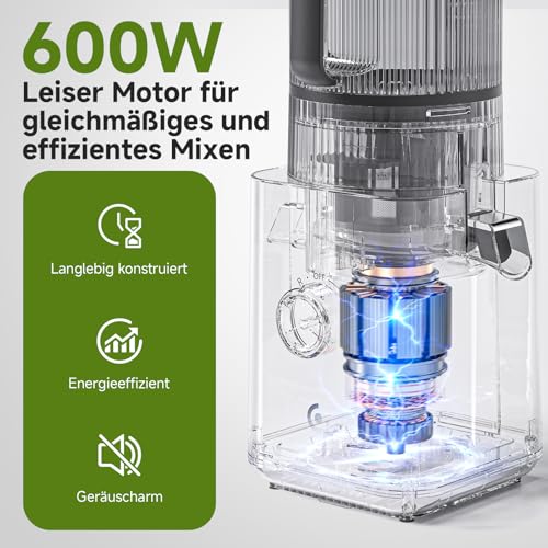 AMZCHEF Slow Juicer, 160 mm Filling Opening for Whole Fruits and Vegetables | 2.5 L cold press juicer for fresh juices, sorbet and nut milk, high juice yield, quiet, easy to clean, matte black