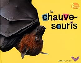 La  chauve-souris