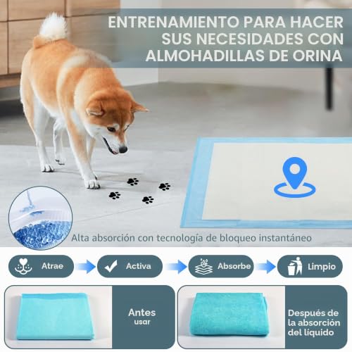 Chumix 100 Units Dog Pads 60 x 60 cm, Dog Pads for Puppy Pads at Home, Design of 6 Layers Anti-Leak, Training Wipes for Puppies, Older Dogs