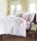 Cuddledown 800 Fill Power Batiste Down Comforter, Queen, Blanket White