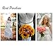 Remedios Embellished Satin Sash Bridal Wedding Belt for Women,Ivory