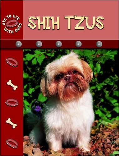 Shih Tzu Eye To Eye With Dogs By Lynn M Stone 2008 08 01