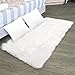 Faux Fur Rug & 2 Faux Fur Pillow Cases for Bedroom, Living Room, Daughters Room (2 Feet x 4 Feet) - Fur Rugs for Living Room and Fur Rugs for Bedroom - Faux Fur Throw Rug for Couch - Shag & Fluffy Rug