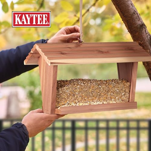 KAYTEE BIRD & BALCONY WILD BIRD FOOD NO MESS SEED BLEND FOR CITY DWELLING BIRDS LIKE FINCHES, SPARROWS, MOURNING DOVES AND MORE, 5 LB