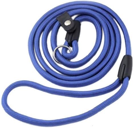 Dog Leash - Blue - Excellent for Training, Walking, Hiking - Heavy Duty Strap, Handle, Rope, Harness Lead Strap - Pet Collar, Adjustable, No-Slip - 50" long
