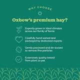 Oxbow Western Timothy Hay 425g for Rabbits Guinea Pigs Chinchilla Small Pets view 4